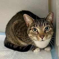 Thumbnail photo of Mia #2