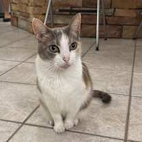 Thumbnail photo of Salie Sue #1