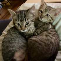 Thumbnail photo of George #4