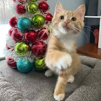 Thumbnail photo of Florian #3