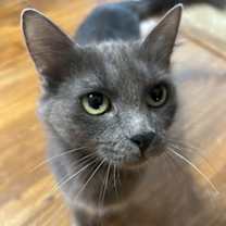 Thumbnail photo of Misty #2