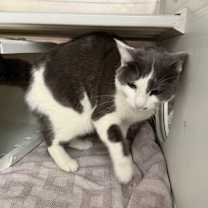 Thumbnail photo of Yuna* #3