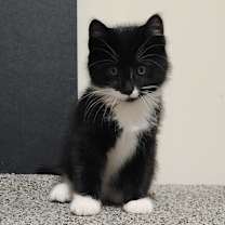 Thumbnail photo of Charlie #2