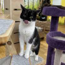 Thumbnail photo of Jenga #2