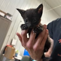 Thumbnail photo of Edna #2