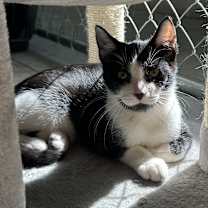 Thumbnail photo of Bath Tub #4