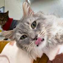 Thumbnail photo of Omar #1