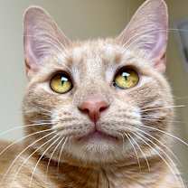 Thumbnail photo of Chuck #4