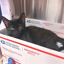 Thumbnail photo of Sabrina #3