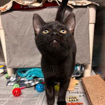 Thumbnail photo of Sabrina #4