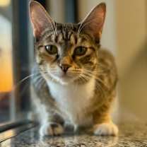 Thumbnail photo of Paris #1