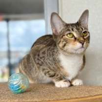 Thumbnail photo of Paris #2