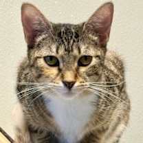 Thumbnail photo of Paris #4