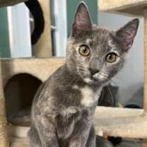 Thumbnail photo of Skittles #2