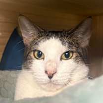 Thumbnail photo of Lola #2