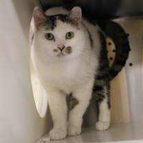 Thumbnail photo of Buddy #2