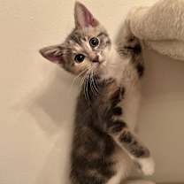 Thumbnail photo of Courtney Love #2