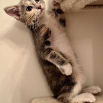 Thumbnail photo of Courtney Love #3