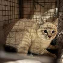 Thumbnail photo of Emmaline #2