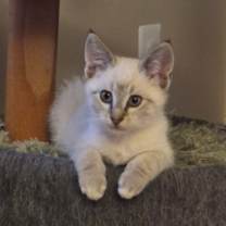 Thumbnail photo of Elliott #1