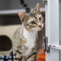 Thumbnail photo of Jordon #2