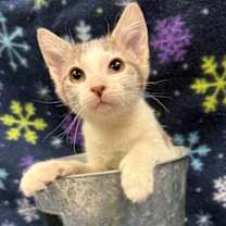 Thumbnail photo of Maxx #1