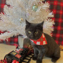 Thumbnail photo of Suits #2