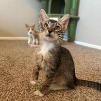 Thumbnail photo of Madi #1