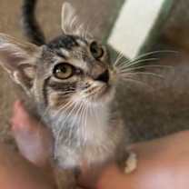 Thumbnail photo of Madi #2