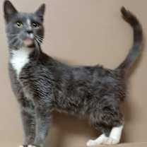 Thumbnail photo of Jaden and Julius #3