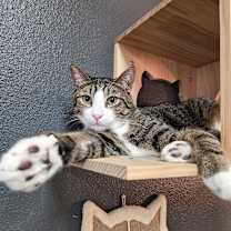 Thumbnail photo of Rocket #1