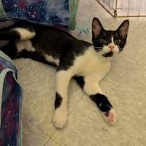 Thumbnail photo of Tucker #4