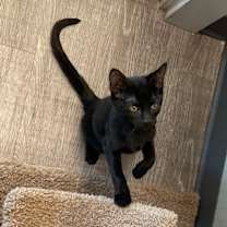 Thumbnail photo of Pan #4