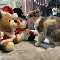 Thumbnail photo of Astrid #2