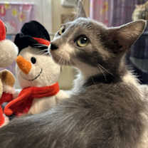 Thumbnail photo of Dagur #1