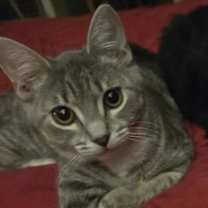 Thumbnail photo of Julianne #1