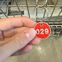 Thumbnail photo of Bud #2