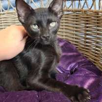 Thumbnail photo of Nathan #3