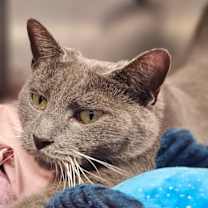 Thumbnail photo of Judy #3