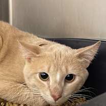 Thumbnail photo of Jolly #2