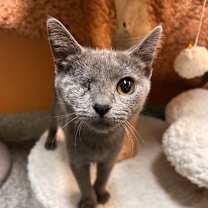 Thumbnail photo of Elisabat #2