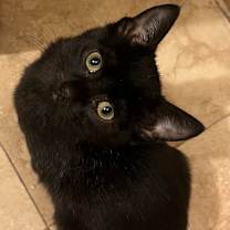 Thumbnail photo of Beth 3 #1