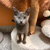 Thumbnail photo of Elisabat #4