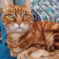 Thumbnail photo of Carlos #1