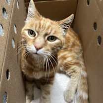 Thumbnail photo of Carlos #3