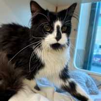 Thumbnail photo of Motor #1