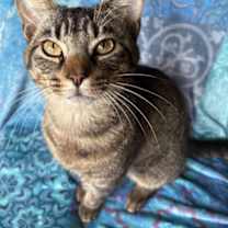 Thumbnail photo of Duckie #2