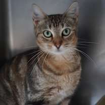 Thumbnail photo of Nancy #1