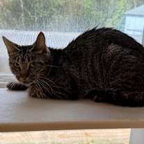 Thumbnail photo of Min #2