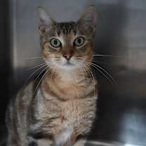 Thumbnail photo of Nancy #3